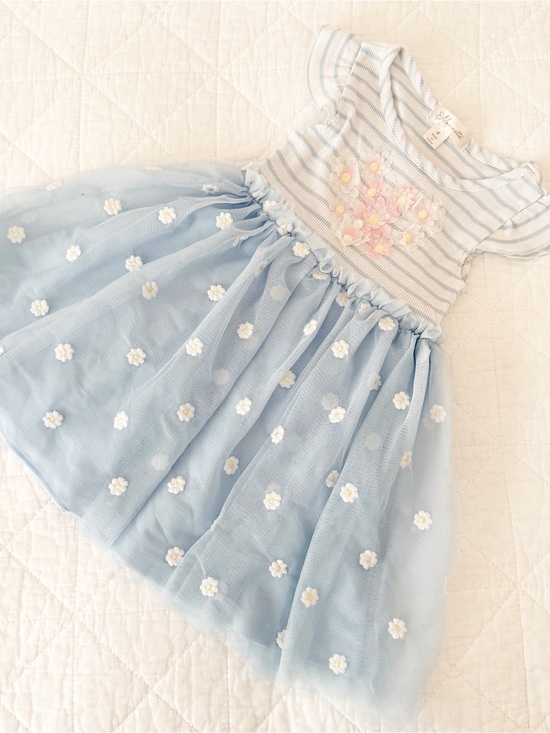 Nannette Other - Nannette Kids 4 Light Blue Floral Tulle Dress with Embroidered Flower Bodice